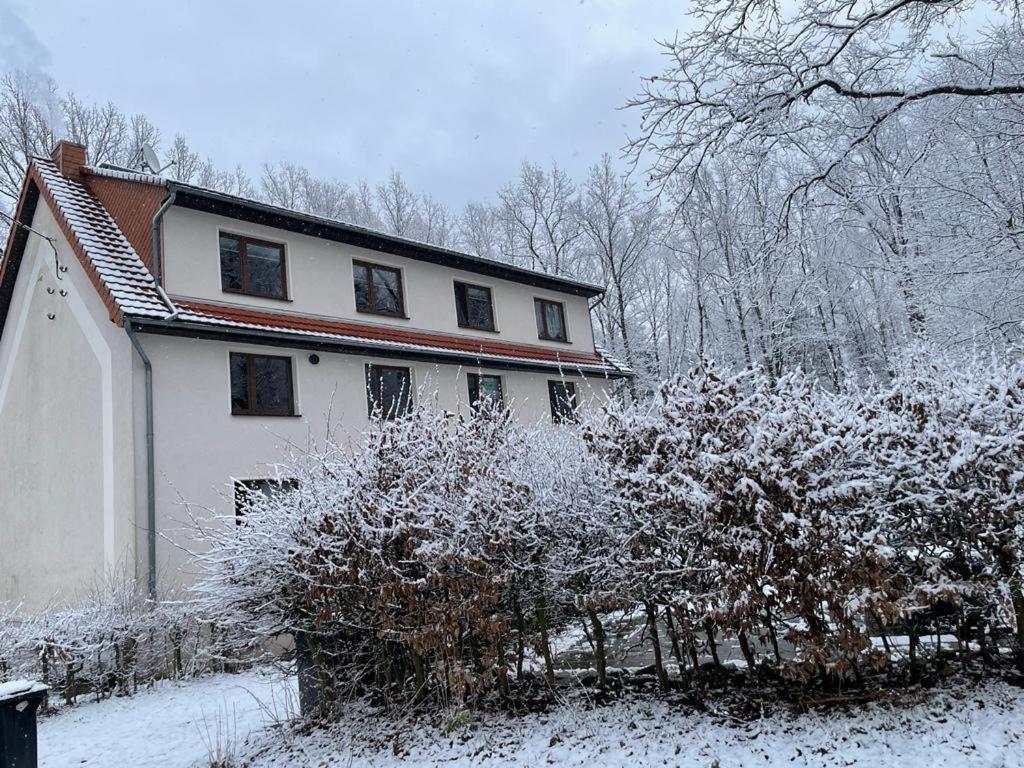 Apartment Am Hochwald Reinhardtsdorf-Schona 外观 照片